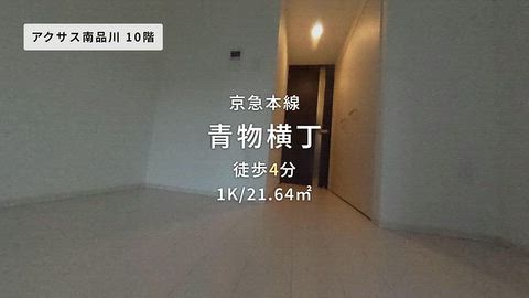 動画