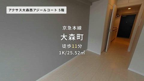 動画