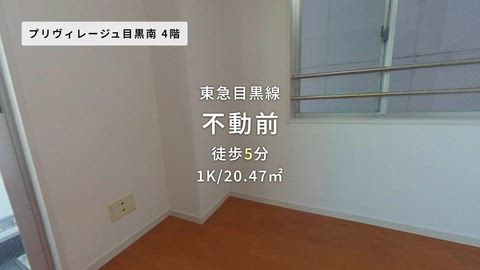 紹介ムービー