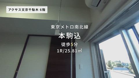 紹介ムービー