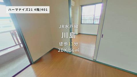 動画
