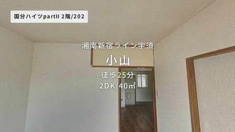 動画