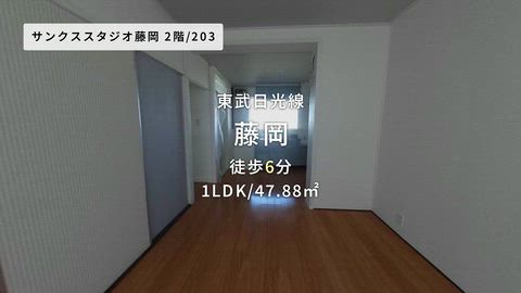 動画