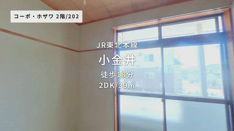 動画