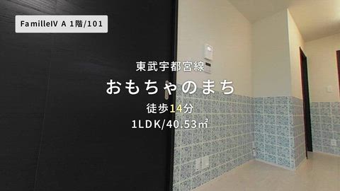 動画