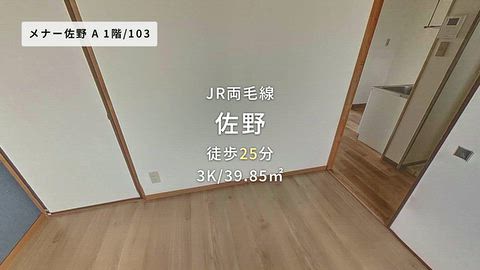 動画