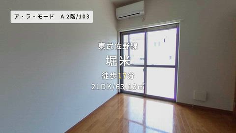 動画