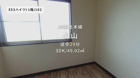 動画