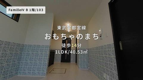 動画
