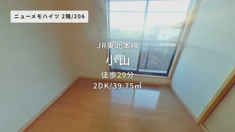 動画