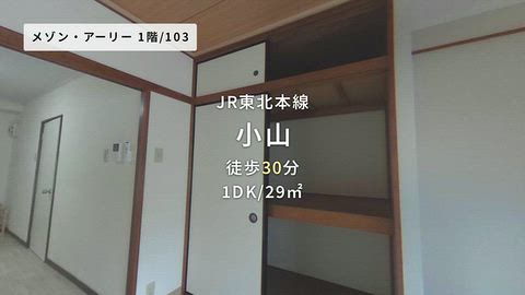 動画