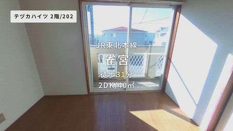 動画