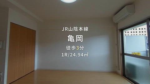 動画