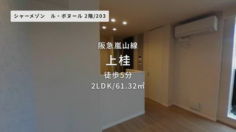 動画