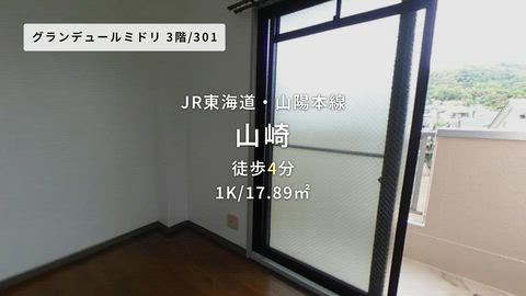 動画
