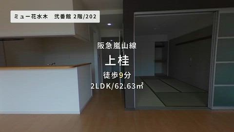 動画