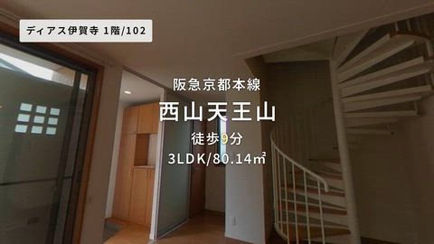 動画