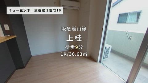 動画