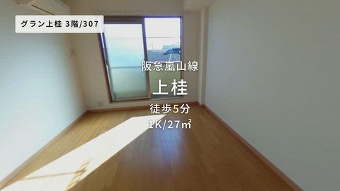 動画