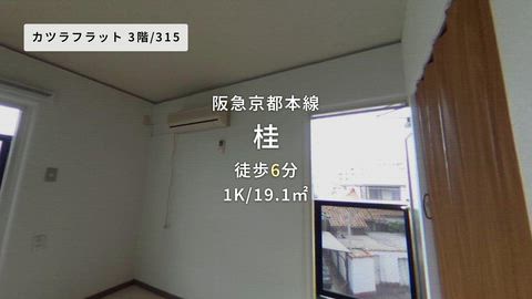 動画