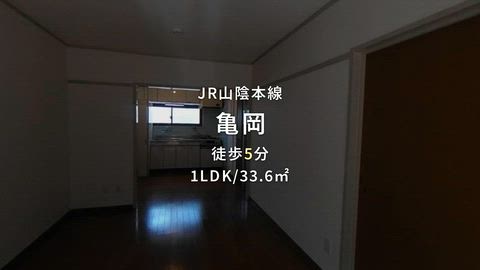 動画