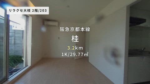 動画