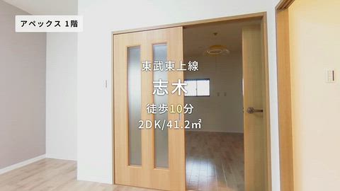 動画