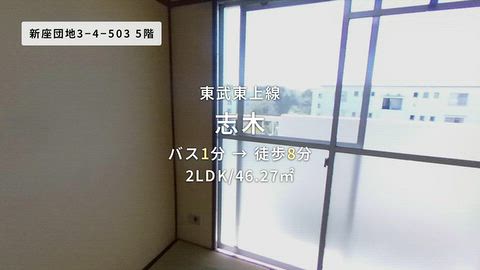 動画