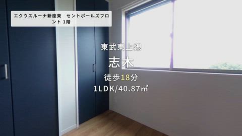 動画