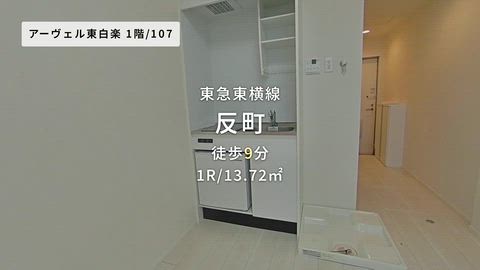 動画