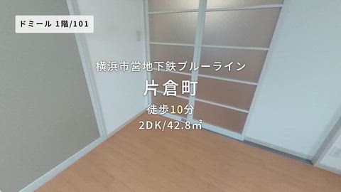 動画