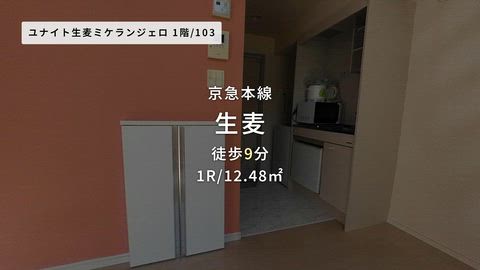 動画