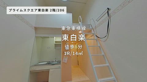 動画