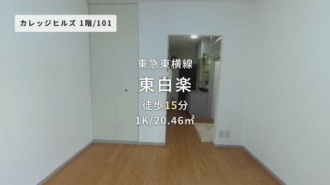 動画