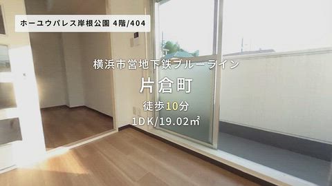 動画