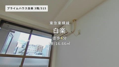 動画