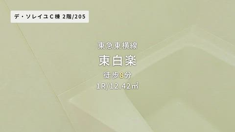 動画