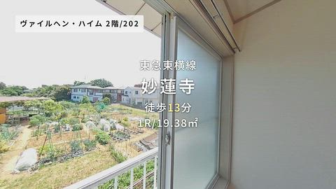 動画