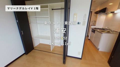 動画