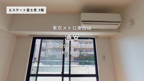 動画
