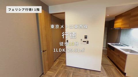 動画
