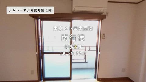 動画