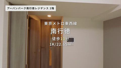 動画