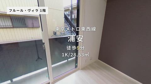 動画