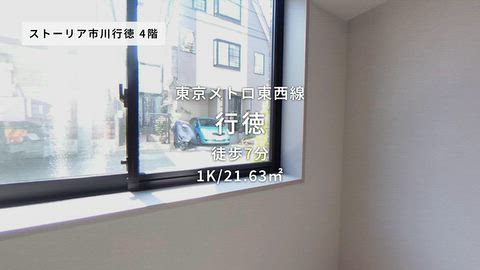 動画