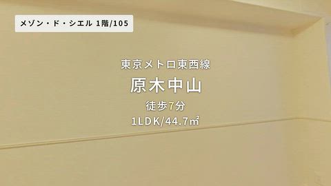 動画
