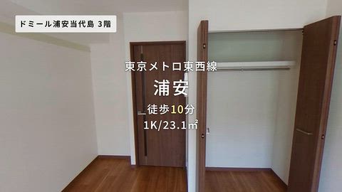 動画