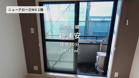 動画