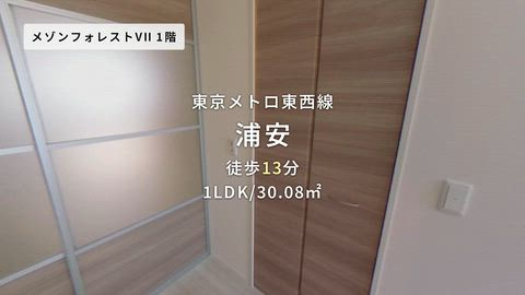 動画