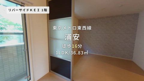 動画